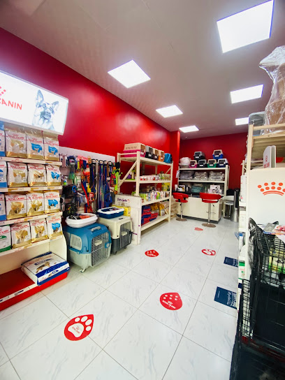 Al meena salon pets care - United Arab Emirates|Al Rawda 3 - Ajman|Sheikh Ammar Bin Humaid St|9GX3+7PG
