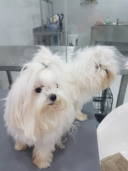 Pets Hub - United Arab Emirates|Zayed Port - Al Mina - Abu Dhabi|G9H7+3QM