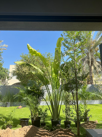 Plantsworld.aeI UAE's Most Trusted Indoor and Outdoor Online Plant Shop - United Arab Emirates|International City - Dubai|Shop No-8|Greece L14