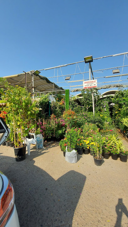 Shuweihat Landscaping - United Arab Emirates|Zayed Port - Al Mina - Abu Dhabi|159 Al Doum St