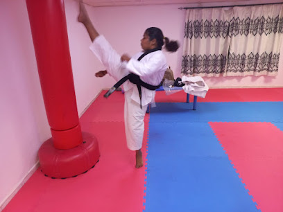 Black Dragon Karate Centre - Dubai - +971 58 297 4604