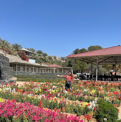 UAE Flower Farm - Khor Fakkan - +971 55 992 3604