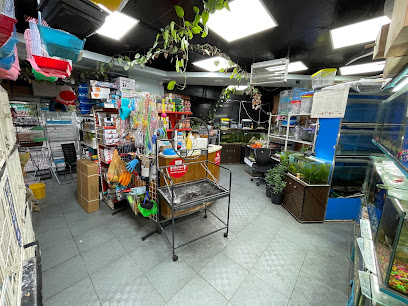 Canary land Pet Shop - Ras al Khaimah - +971 55 804 3699