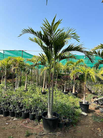 TROPICAL LANDSCAPING - United Arab Emirates|Musaffah - Musaffah Industrial - Abu Dhabi