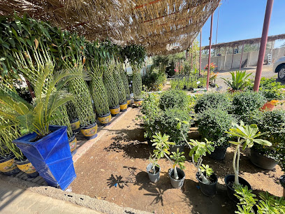 Garden Center Nurseries - Ras al Khaimah - +971 50 396 9516