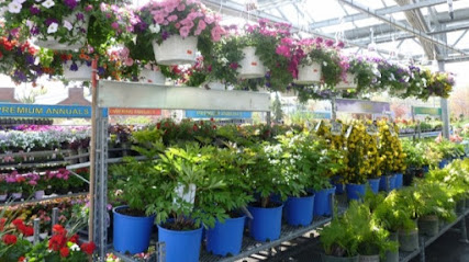 Green Glades Plant Nursery - Ras al Khaimah - +971 52 588 3964
