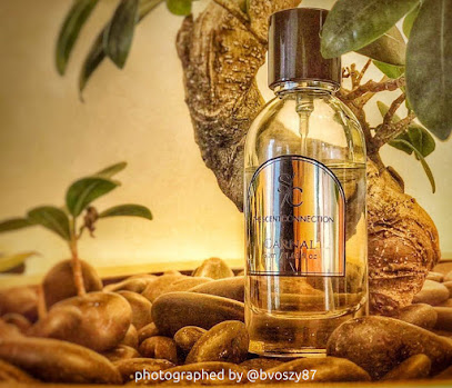 The Scent Connection - Ras al Khaimah - +971 58 543 0229