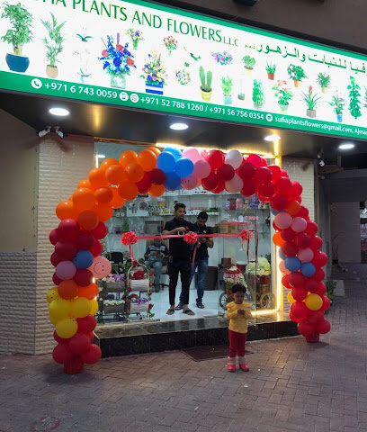 Sufia Plants & Flowers L. L.C. - Ras al Khaimah - +971 6 743 0059