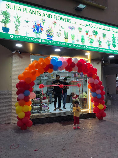 Sufia Plants & Flowers L. L.C. - United Arab Emirates|2 Al Nuaimia - Ajman|شارع ثابت بن قيس|9CPX+W43