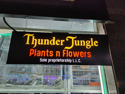 Thunder Jungle Plants n Flowers LLC - Ras al Khaimah - +971 58 204 3000