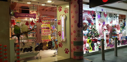 World Of Pets - Ras al Khaimah - +971 4 388 2455