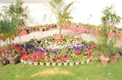 CITY SPRINGS LANDSCAPING - Dubai - +971 52 413 2264