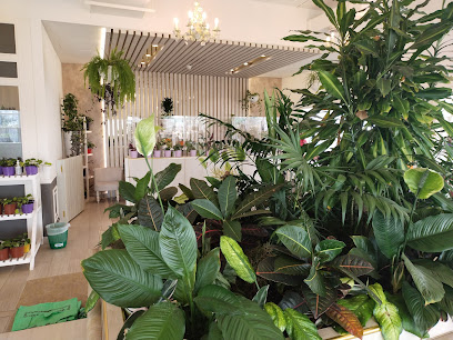 Dubai Municipality Nursery - Ras al Khaimah - +971 4 287 2667