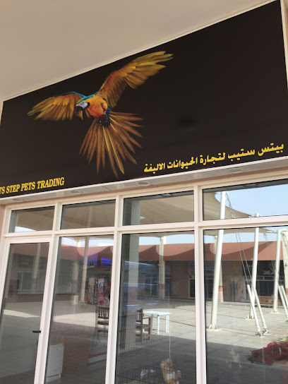 Pet Step Pets Trading - United Arab Emirates|Warsan 3 - Dubai|4FW6+745