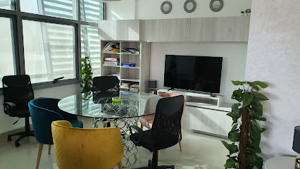 BDI- Interior - Dubai - +971 58 585 1211