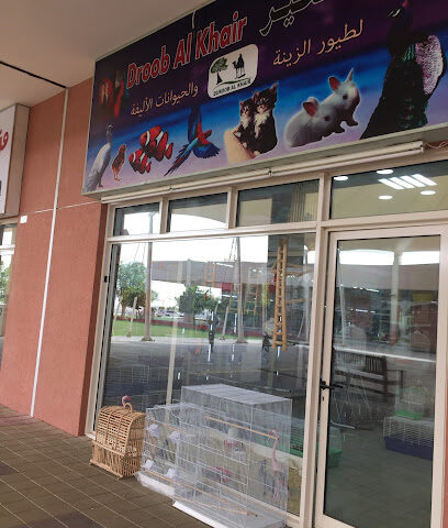 DUROOB AL KHAIR BIRDS & PETS TRADING - Ras al Khaimah - +971 50 878 7753