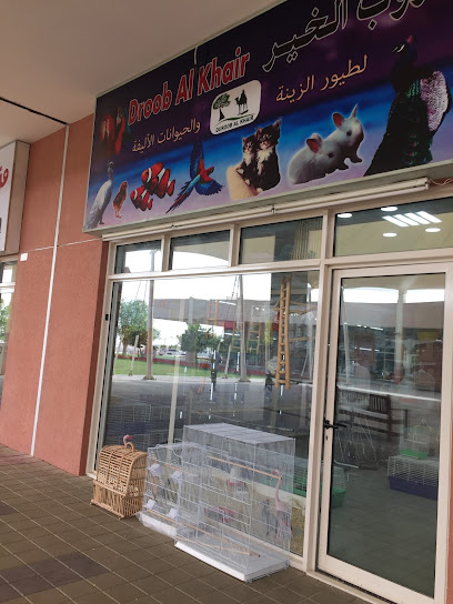 DUROOB AL KHAIR BIRDS & PETS TRADING - United Arab Emirates|Warsan 3 - Dubai|4FV5+WR5