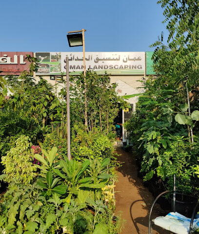 Oman Landscaping - Dubai - +971 55 885 3288