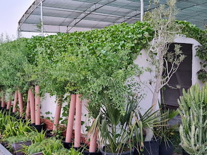مشتل ساره الزراعي Sara nursery - Ras al Khaimah - +971 50 115 1862