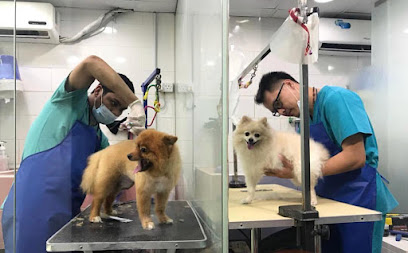 CVC- Canary Vet. Clinic - Ras al Khaimah - +971 6 568 0803