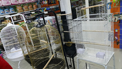 Pets on click - Ras al Khaimah - +971 56 526 3299