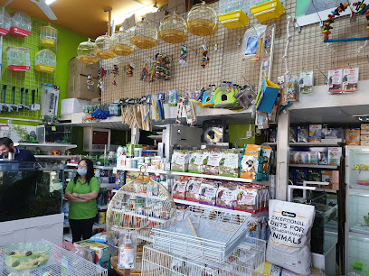 امازون بيتس Amazoonpets - Ras al Khaimah - +971 2 564 5636