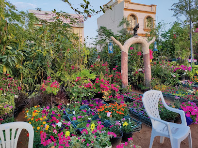 Al Ameen Landscape Gardening LLC - Ras al Khaimah - +971 55 266 2042
