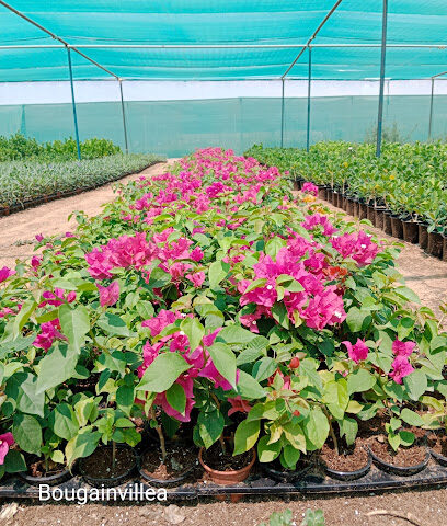 EDIL BUIDING THE FUTURE - Ras al Khaimah - +971 52 207 6318