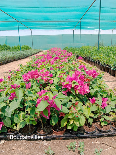 EDIL BUIDING THE FUTURE - United Arab Emirates|Ras al Khaimah|25.472629