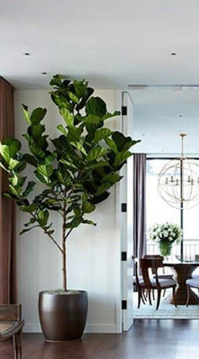 Taj flower trading and landscape laager.laager.laager.laager.c - United Arab Emirates|Ajman|Unnamed Road|9FRH+P98