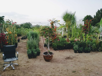 Nibras landscaping & irrigation llc | online plant shop - Dubai - +971 50 701 4645