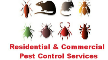 PEST CONTROL SERVICES - Ras al Khaimah - +971 56 567 0905