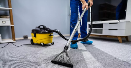 Reliable pest control and environmental services - Ras al Khaimah - +971 50 345 7652