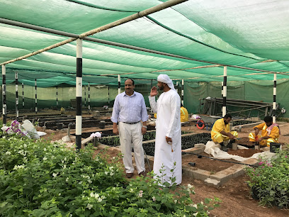 Dhaid City Municipality Nursery - Ras al Khaimah - +971 6 882 8801