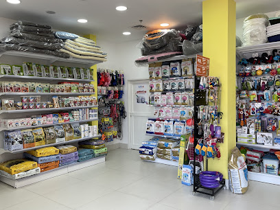 Pets Kingdom LLC | Kennels & Cattery - Ras al Khaimah - +971 4 824 1445