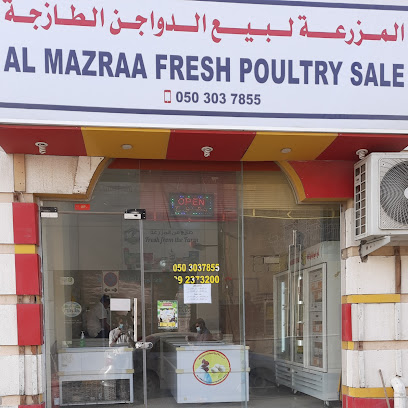 Al Mazraa Fresh Poultry Sale - Ras al Khaimah - +971 50 303 7855
