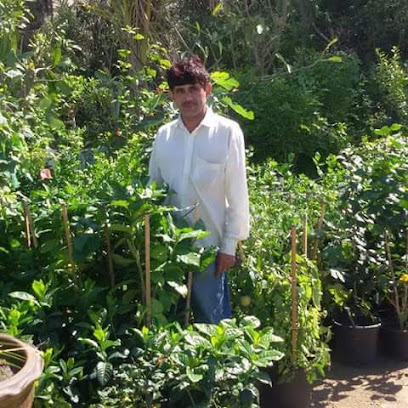 plant sales - Ras al Khaimah - +971 54 776 2110