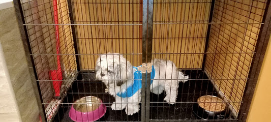 Pet Express - Ras al Khaimah - +971 4 514 4722