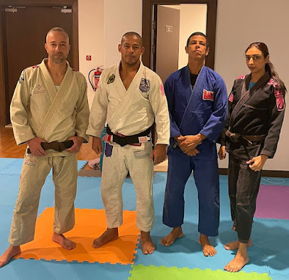 Capaoeira, Self-defense and fitness classes. Abu Dhabi. - Dubai - +971 55 841 7843
