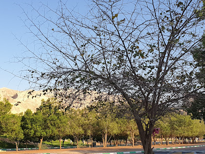 Green Mubazzarah Round about - Fujairah -