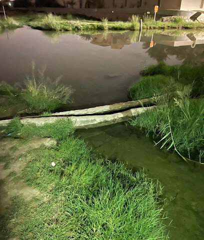 Al Muwaij'i wadi - Fujairah -