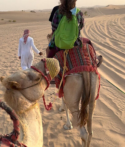 Sand dune - Ras al Khaimah -