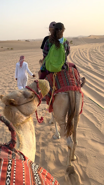 Sand dune - United Arab Emirates|Abu Dhabi|City|3MG3+MP6