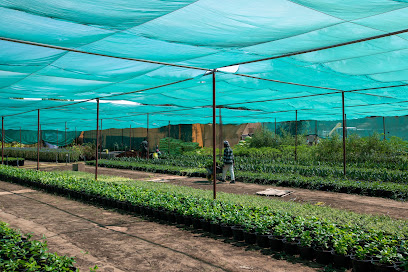 GREEN GATE GARDENS - Ras al Khaimah - +971 52 641 6376
