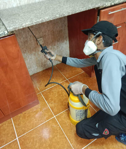 Alsafar cleaning and pest control services LLC - Ras al Khaimah - +971 50 542 9765