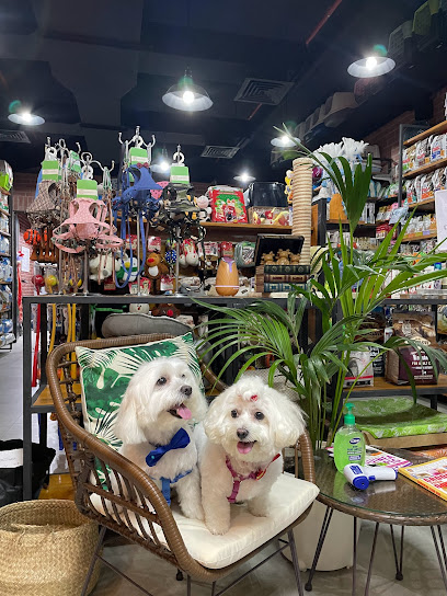 Pet Boutique Daycare & Spa - United Arab Emirates|Dubai Marina - Dubai|Shop 9