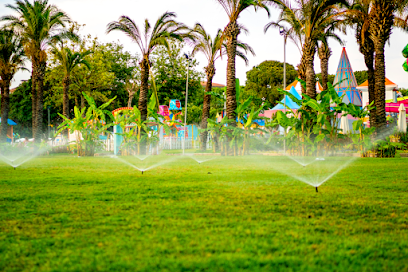 Khan Landscape Gardening LLC - Dubai - +971 55 322 9362