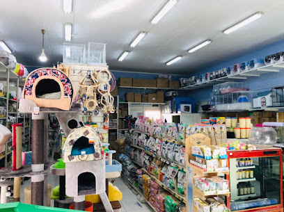 Pet Care - Ras al Khaimah - +971 54 441 5728