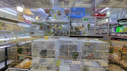 Abu Dhabi Animal Market/ Mina Animal Market - Ras al Khaimah - +971 50 165 2426