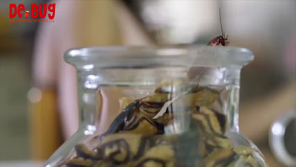 Debug Pest Control Services | Sanitization | Sterilization | Disinfection - ديبغ لخدمات مكافحة الحشرات - Ras al Khaimah - +971 2 307 4600